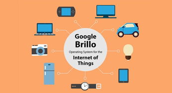 來看看高大上的brillo物聯網操作系統