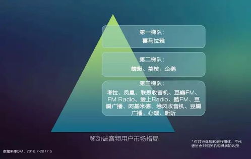 2017中國網(wǎng)絡(luò)視聽發(fā)展報(bào)告 用戶付費(fèi)意識崛起與網(wǎng)生內(nèi)容品質(zhì)化轉(zhuǎn)型