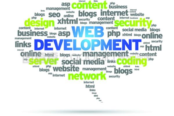 網(wǎng)絡(luò)開(kāi)發(fā) 連接世界的技術(shù)與藝術(shù)